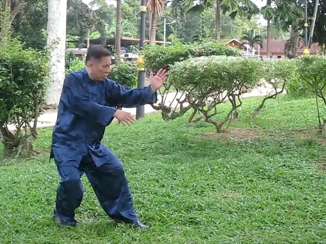 Wu Yu Xiang Style Taijiquan